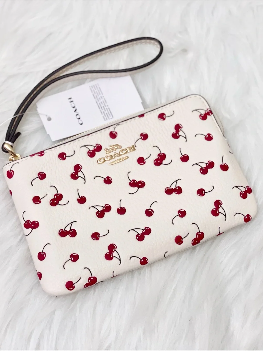 Coach corner zip